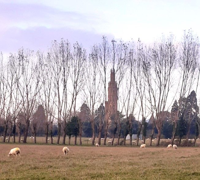 Hadlow Tower in early winter
